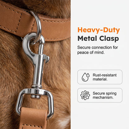 Geometric Retractable Pet Leash with One-Button Lock