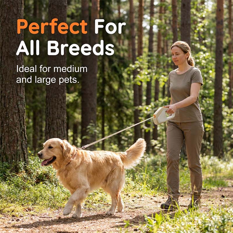 Geometric Retractable Pet Leash with One-Button Lock